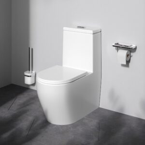 C8F8900SC Func Унитаз-моноблок безободковый с сиденьем