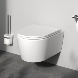 C8F1700MWSC Func подвесной унитаз 49 см FlashClean с сиденьем микролифт, бел мат