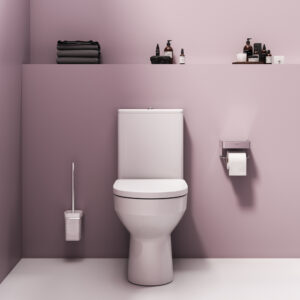 CK70DC Spirit Комплект компакт ( зона туалета)