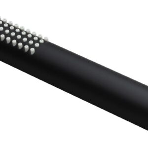 Душевая лейка Allen Brau Priority 5.31020-31 черный матовый