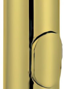 Душевая лейка Allen Brau Priority 5.31A20-GB золото