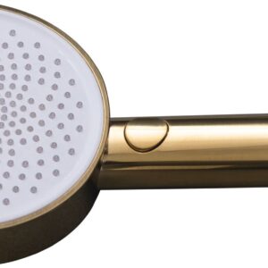 Душевая лейка Allen Brau Priority 5.31B20-GB золото
