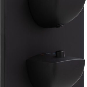 Смеситель для душа Allen Brau Infinity 5.21116-31 (с внутренней частью, 1 выход) черный матовый