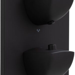 Смеситель для ванны Allen Brau Infinity 5.21316-31 (с внутренней частью, 3 выхода) черный матовый