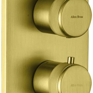 Смеситель для ванны Allen Brau Priority 5.31213-GB (с внутренней частью, 2 выхода) золото