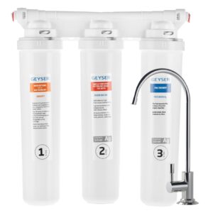 Фильтр Гейзер Оптима Макс Био