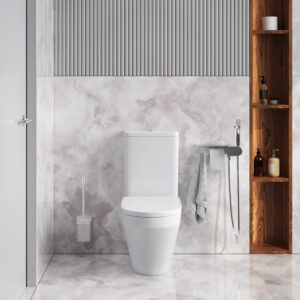 CK50C1704W Inspire V2.0 набор унитаз-компакт с гиг.душем